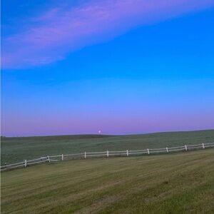 Meet your Posher, Kylie